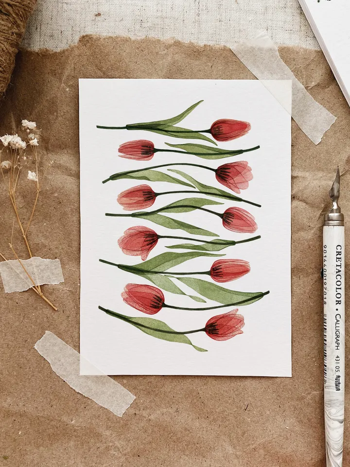 Set of 4 botanical postcards TRANSPARENT PLANTS