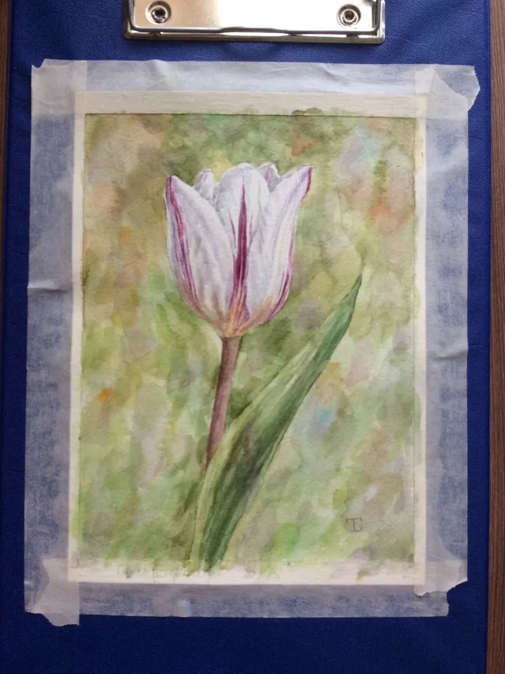 "Tulip" Flower Original Wall Art Painting Watercolor Artwork, 15x20cm.