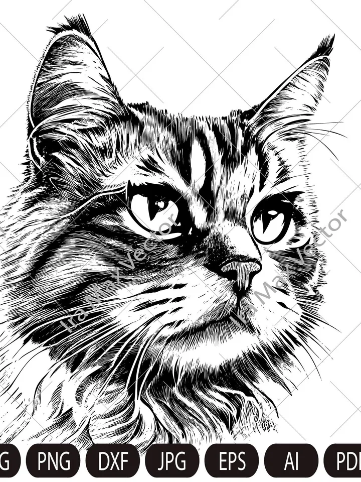 Cat Face Svg ,cute kitten face svg, cute cat face svg, cat faces svg, face svg, cat svg bundle, cat image, kitten svg cricut,svg,dxf