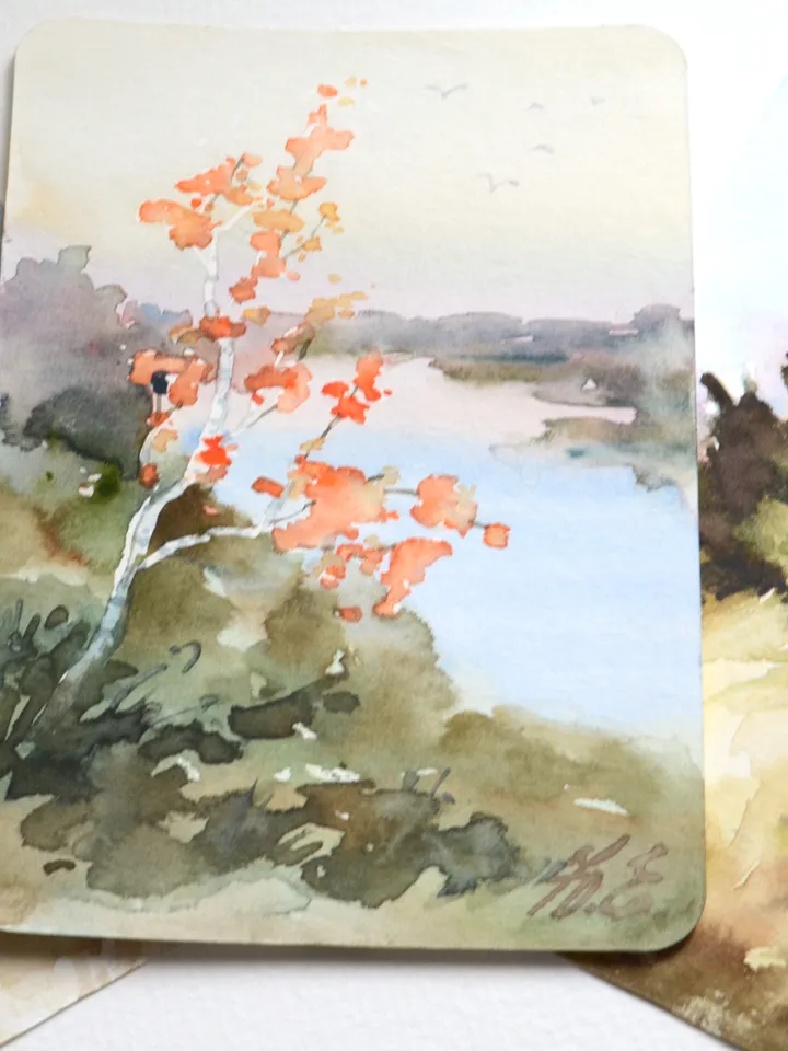 Birch in autumn postcard Original watercolor painting by Yulia Evsyukova