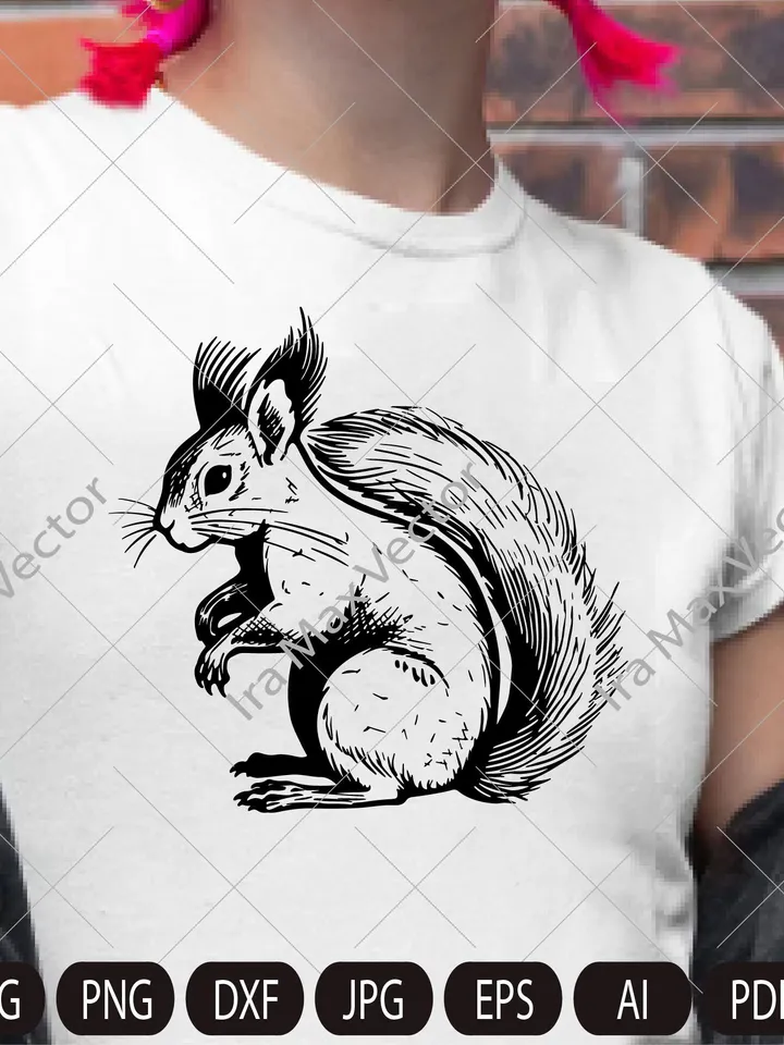 Squirrel SVG, Squirrel comic, Squirrel png,Squirrel vector, Squirrel detailed,Squirrel poster, Squirrel download