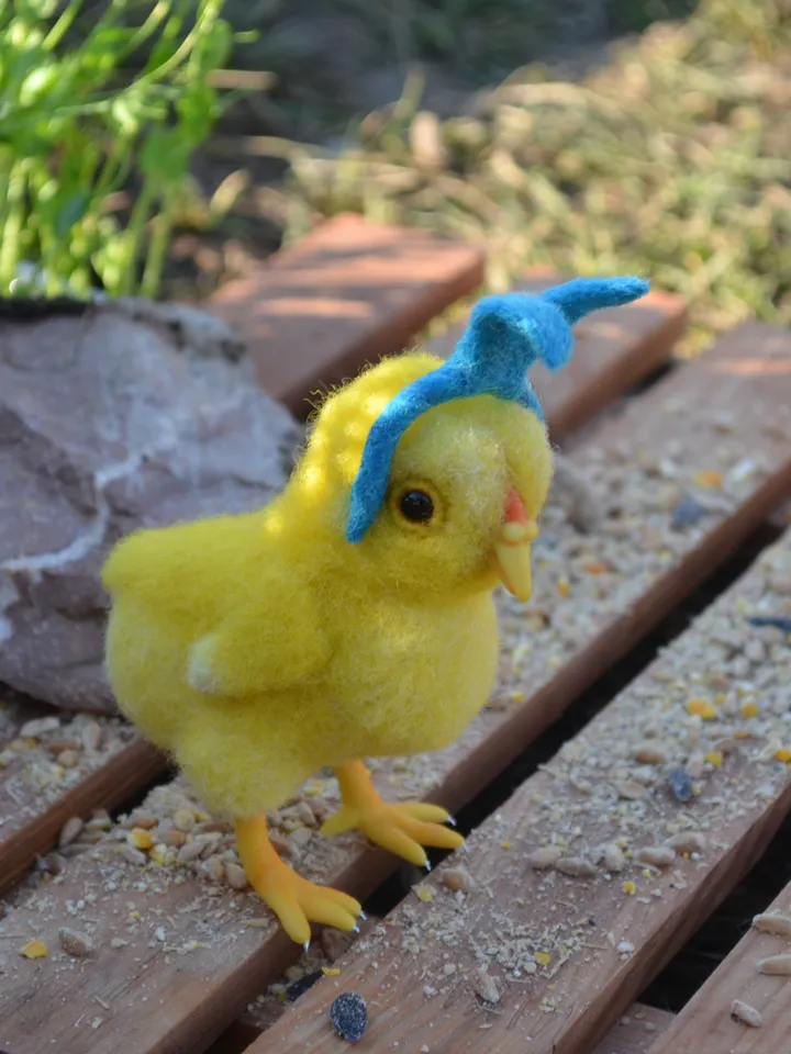 Chicken