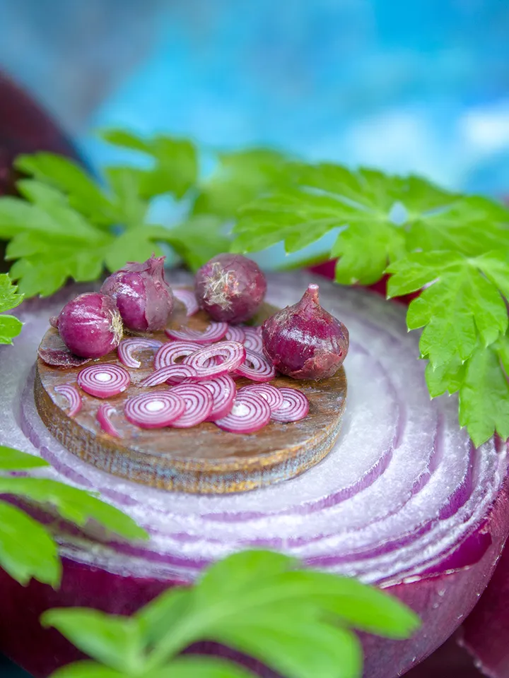 TUTORIAL Miniature red onion with polymer clay