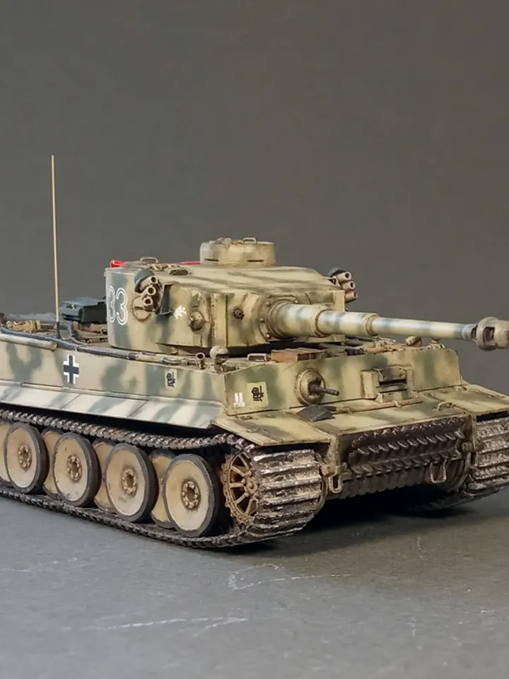 Pro Built model Tiger #S33 2 SS-Pz.Div. Das Reich, 1/72 scale