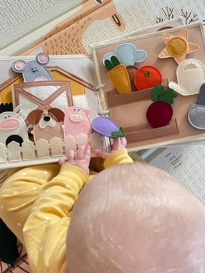 Handmade Montessori Felt Busy Book for Baby Girl Quiet Activity Book Toddler 6 12 Months Soft Fabric Sensory Gift 1 Year Old Kinderkrama