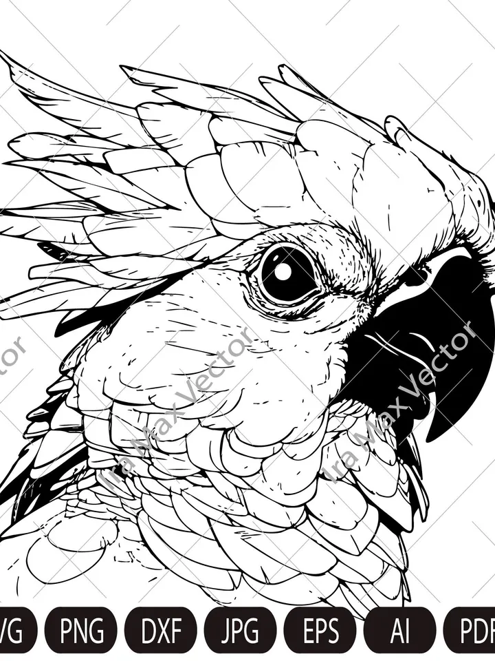 Cockatoo svg file, Cockatoo head, Cockatoo parrot, Cockatoo cut file, Animal Face, Australia svg, Cockatoo Face svg, Bird svg, Tropical Bird