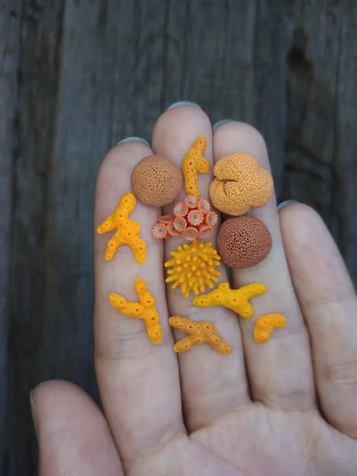 Set of miniature corals shades of orange, tiny corals for diorama, dollhouse or resin art