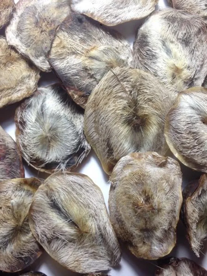 Musk musk deer (pure) 1 gram