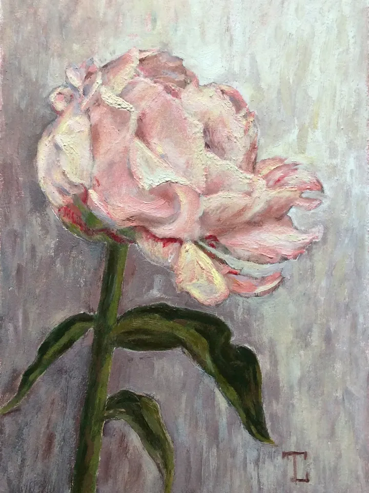 "Peony", oil painting, impasto, original wall art, flower, floral