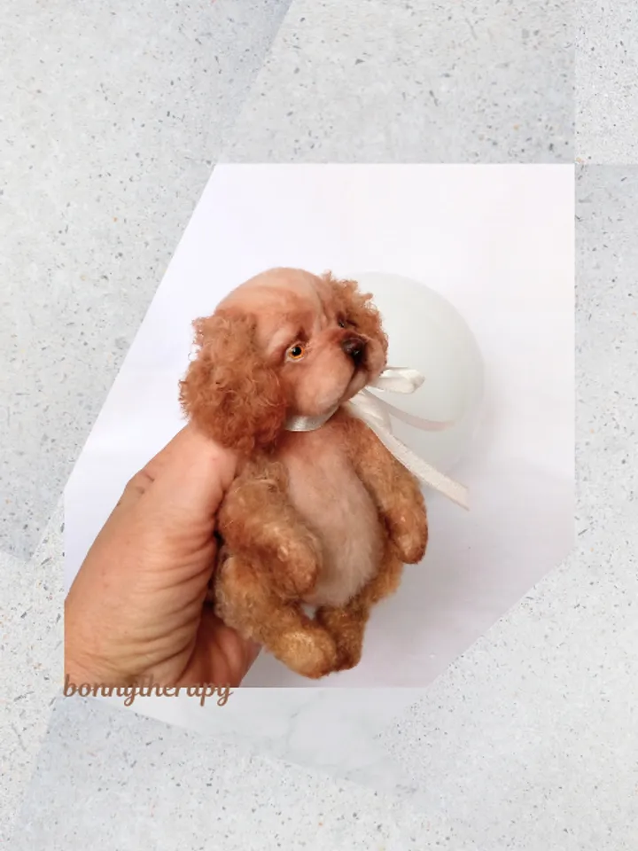 A cute puppy is waiting for you.