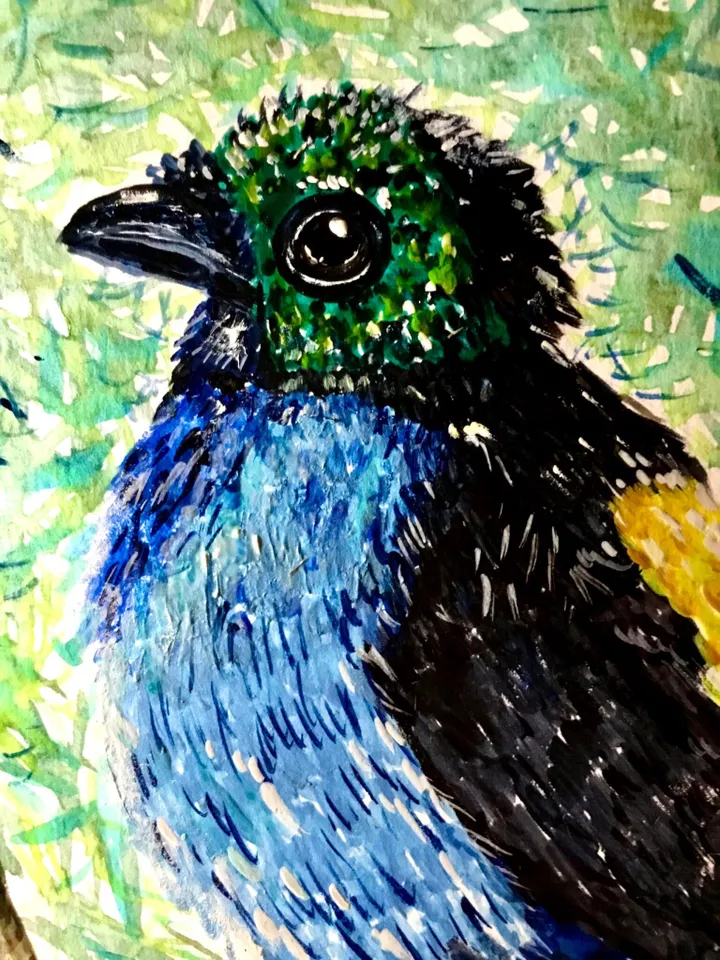 Paradise tanagra bird original watercolour painting.Bright exotic bird.