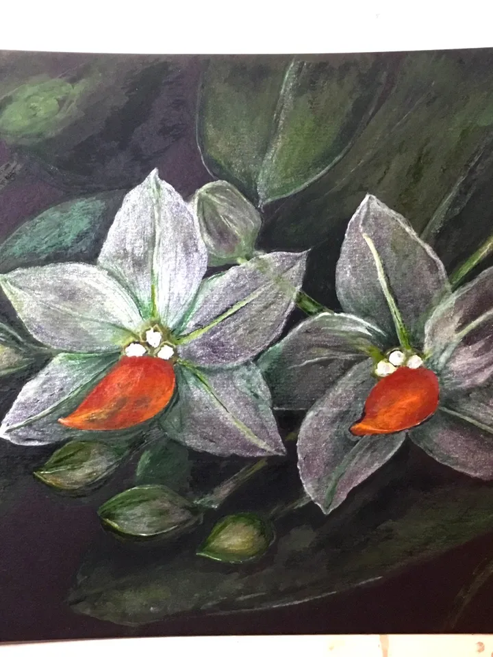 Orchids painting,White orchid flowers on black background, home decoration,original watercolour painting,framed.