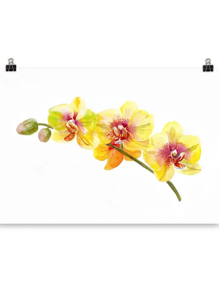 Watercolor Orchid Art Flower Line Art  Wild Flowers Botanical Printable Wall Art Flower Print Minimal Botanical Poster Giclee Botanical Art
