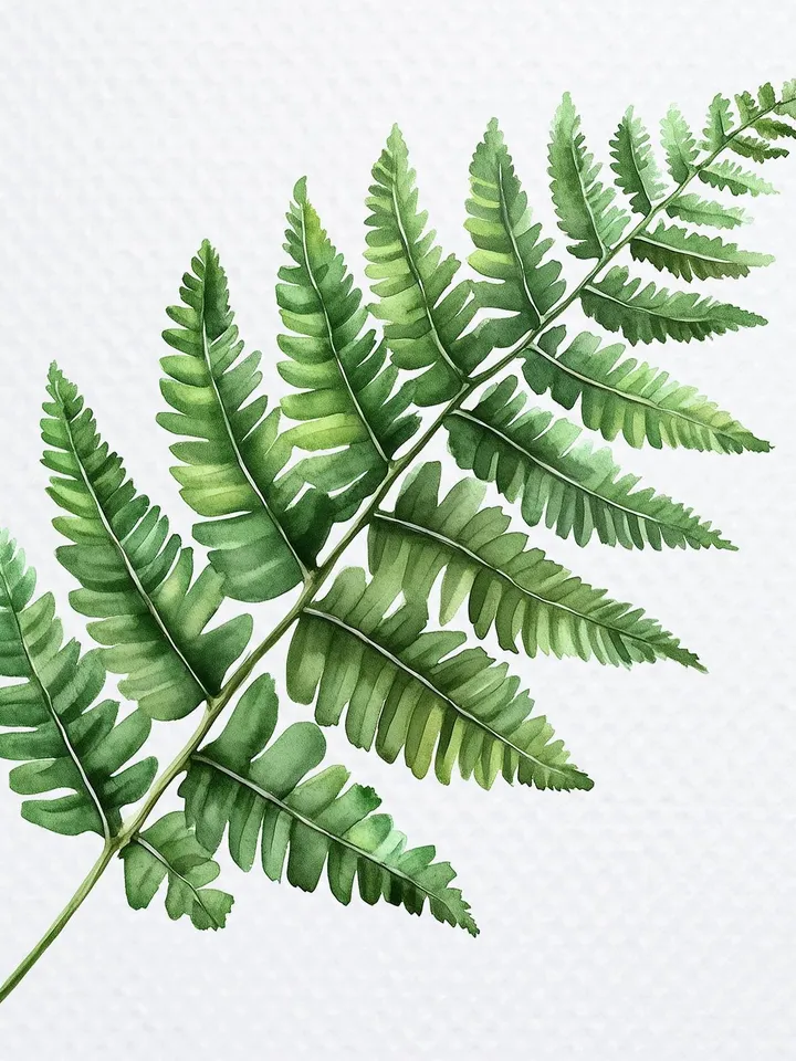 12 Forest Fern Leaves PNG bundle, Printable Watercolor Fern Clipart for sublimation, Digital download, Paper craft, junk journals