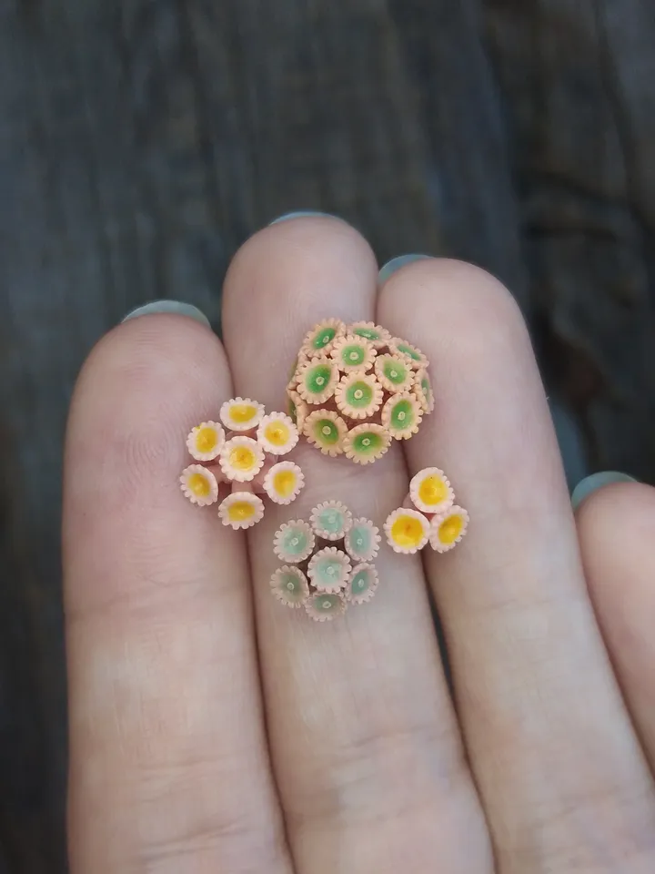 Set of miniature Zoanthus corals, tiny corals for diorama, dollhouse or resin art