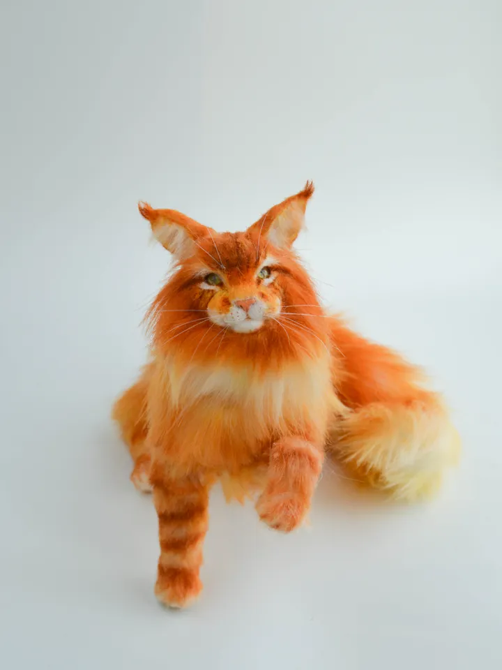 Maine Сoon realistic cat