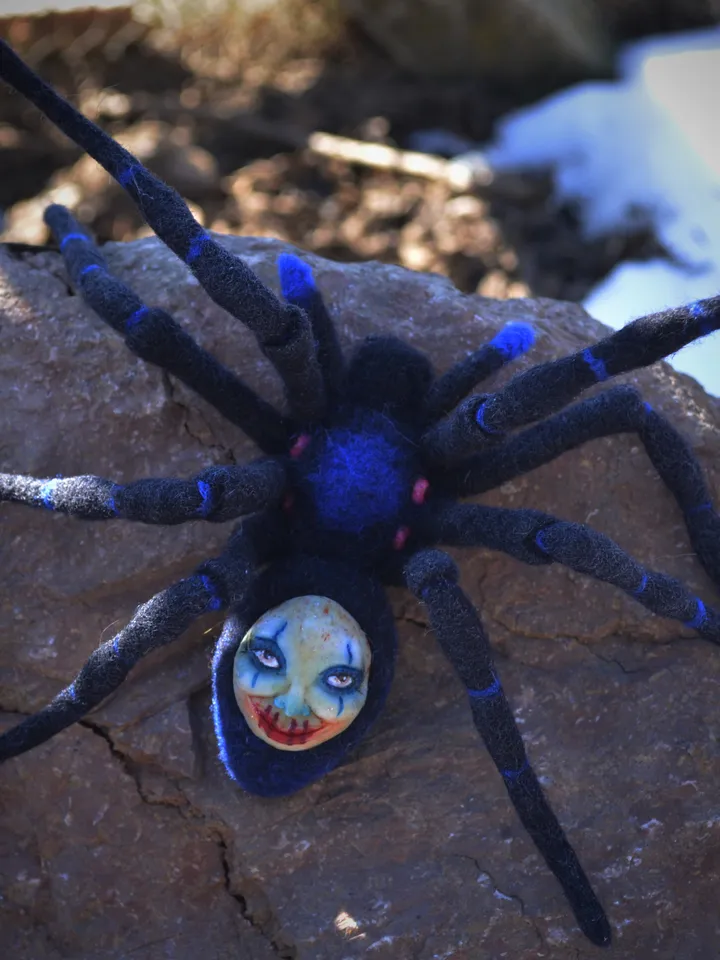 Spider hypnosius.