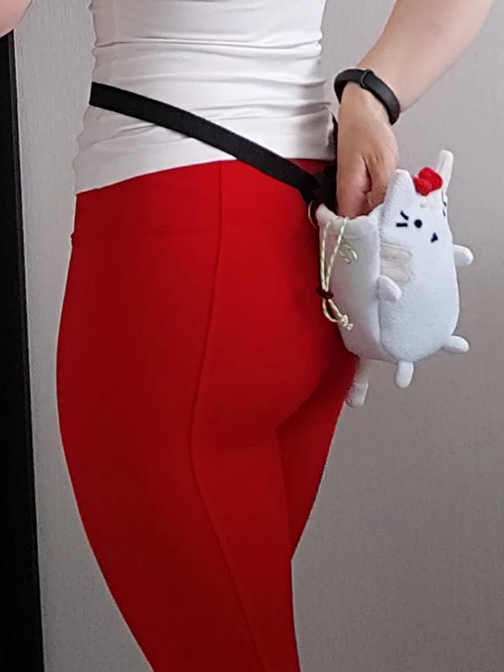 Chalk bag Сat for rock climbing