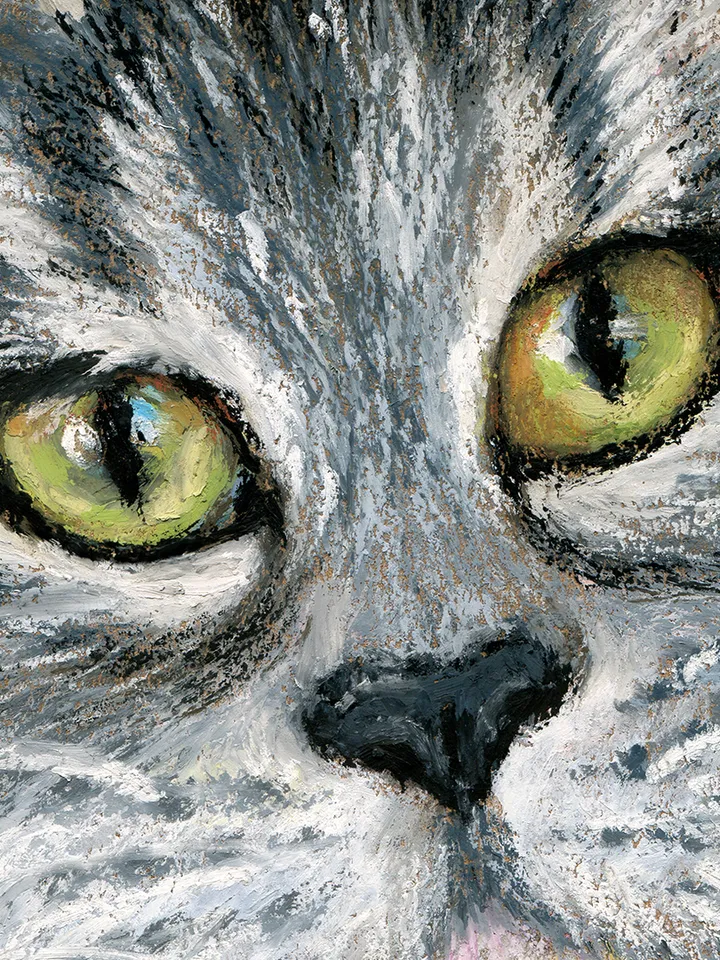 Print template, Maine Coon, Portrait of a grey cat, Animalistic , Digital file for printing and design, large poster