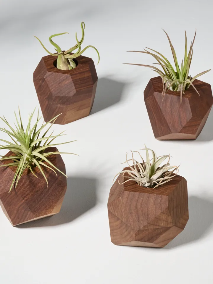 Set of 4 Walnut Geometric Air Plant Holder