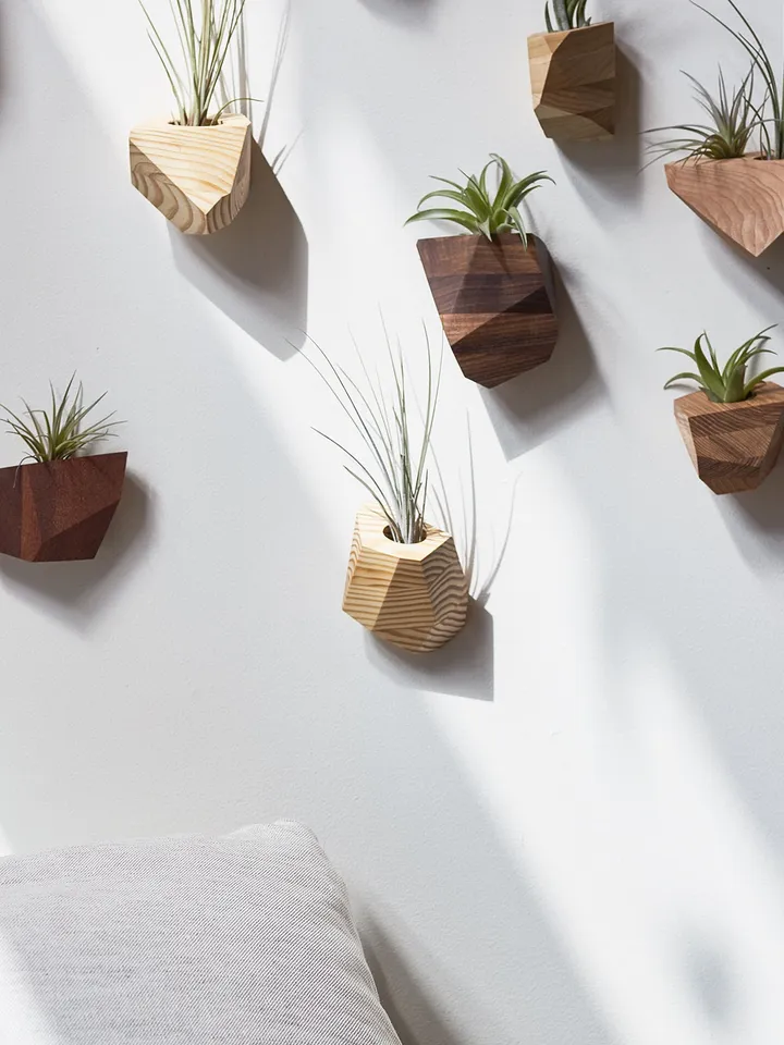 Set of 4 White Oak Geometric Air Plant Holder