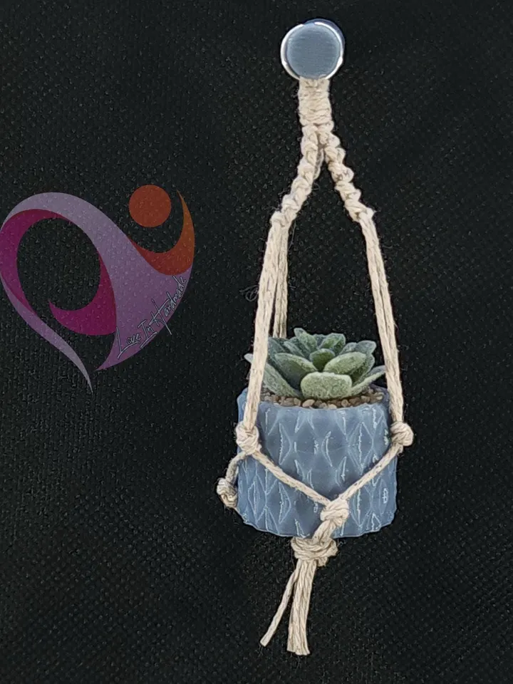 Cute Succulent Magnet Boho Plant Decor for Fridge Locker Perfect Gift for Plant Lovers
