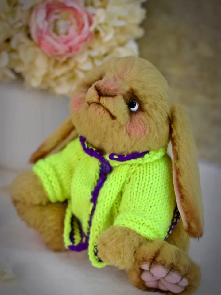 Teddy bunny, a soft toy