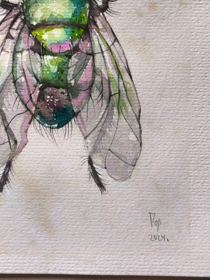 Watercolor. Green Fly.