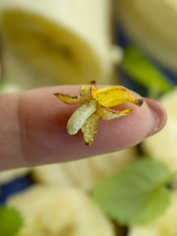 TUTORIAL Miniature banana cane with polymer clay