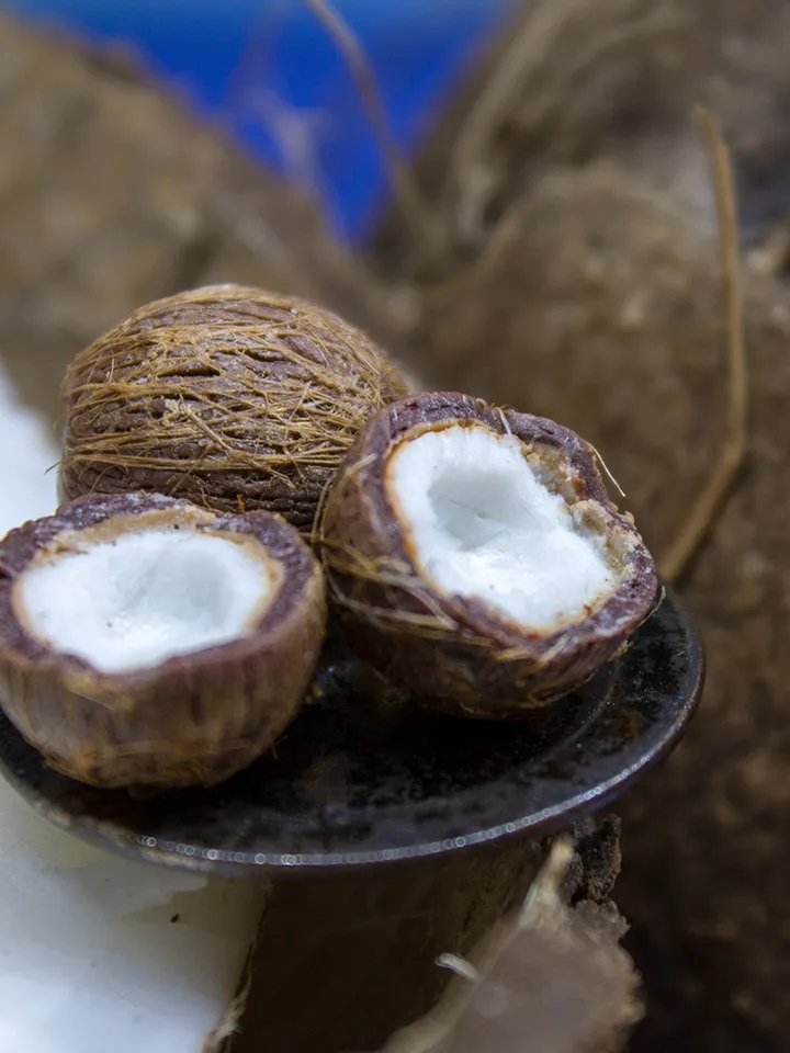 TUTORIAL Miniature coconut with polymer clay