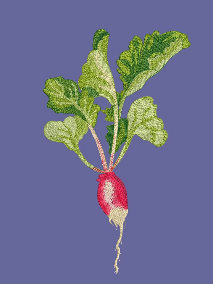 embroidery radish