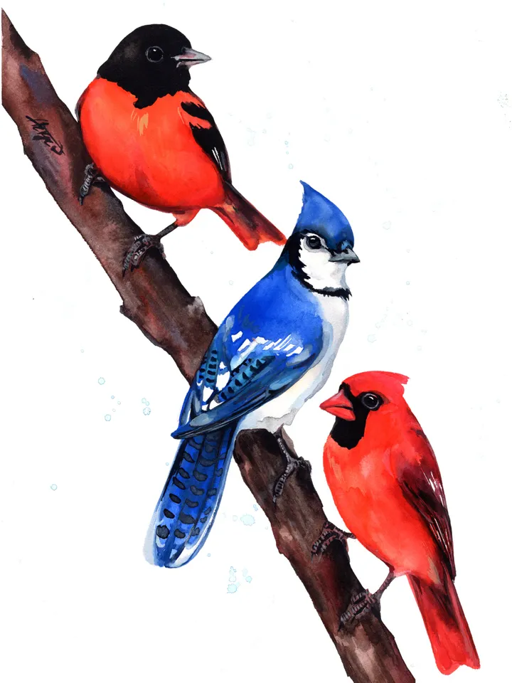 3 birds Original watercolor, bird painting, wall decor, birds lover gift, 8x11 in handmade art by Anne Gorywine