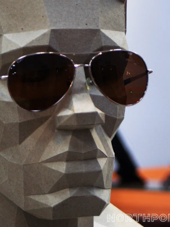 Arnold Head Papercraft, Digital Template, PDF Download, Gurko, 3D Low Poly, Pepakura, DIY Origami Sculpture, Paper Decor, DIY Gift