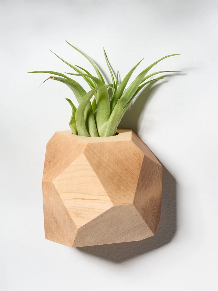 Set of 4 Maple Geometric Air Plant Holder