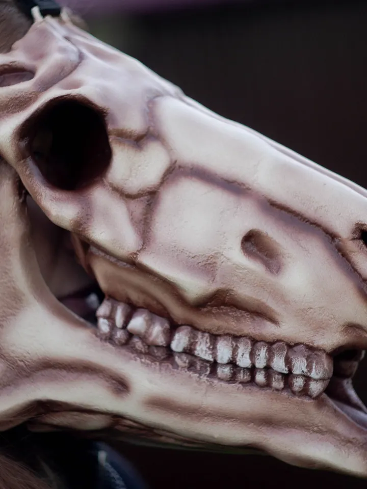 Horse Skull Mask, Horror Mask, Realistic Skull Mask, halloween scary mask, creepy mask, skull costume mask, shamanic mask,pagan mask