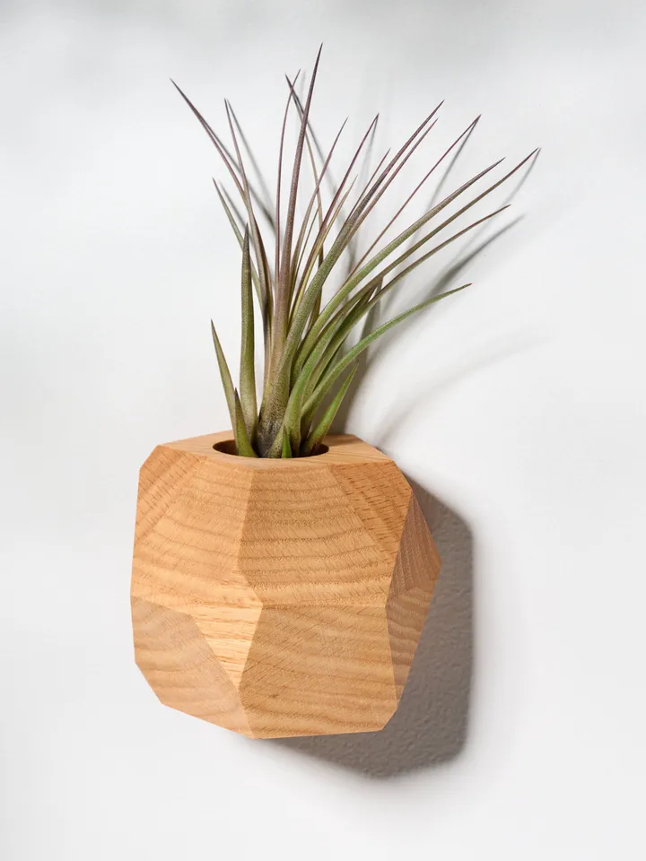 Set of 4 Red Oak Geometric Air Plant Holder