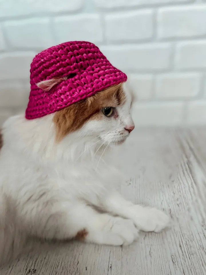 Crochet pattern bundle pets hat PDF digital instant download, video tutorial, crochet cat hat, crochet hog hat, bucket hat, balaclava frog
