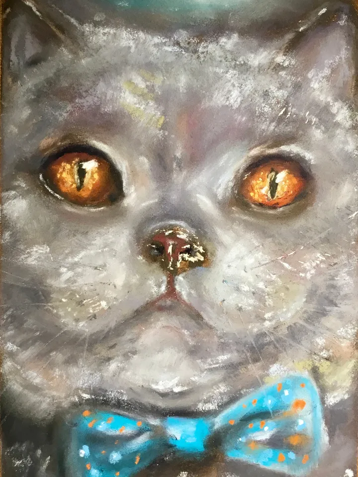 British cat with a bow tie original spft pastel painting on pastel cardboard,funny animals painting,cats painting,cat lovers gift,wall art.