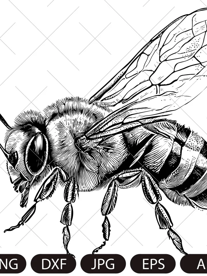 Bee,honey bee , bumble bee svg png jpg clip art Silhouette Cricut Cutting Machine cut file