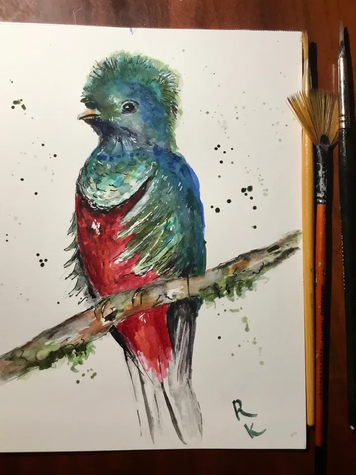 Quetzal bird original watercolour painting,exotic birds painting,watercolor birds wall art,small painting gift,original birds painting.