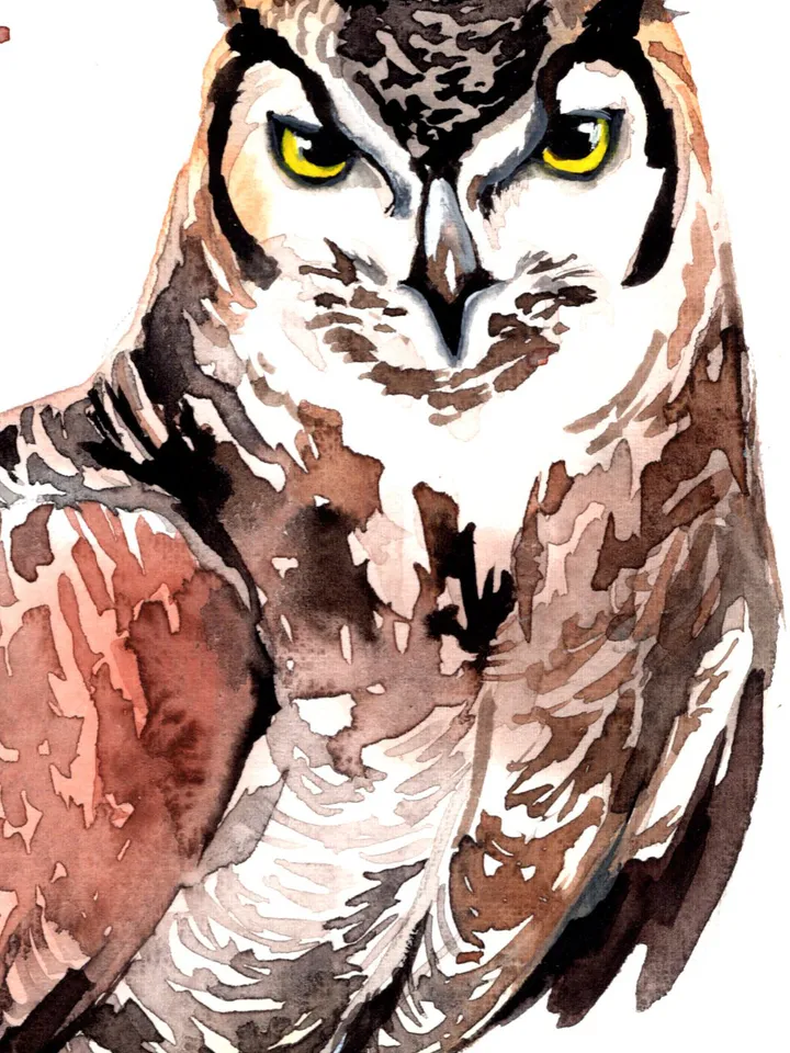 Owl Original watercolor, bird painting, wall decor, birds lover gift, 8x11 in handmade art by Anne Gorywine