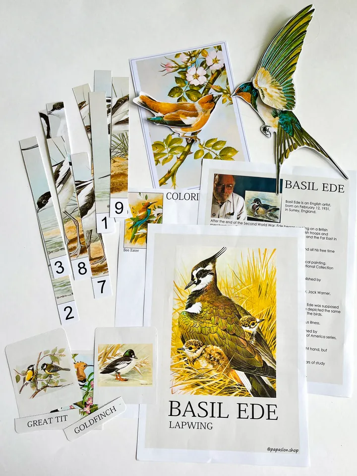 Set of Birds Basil Ede