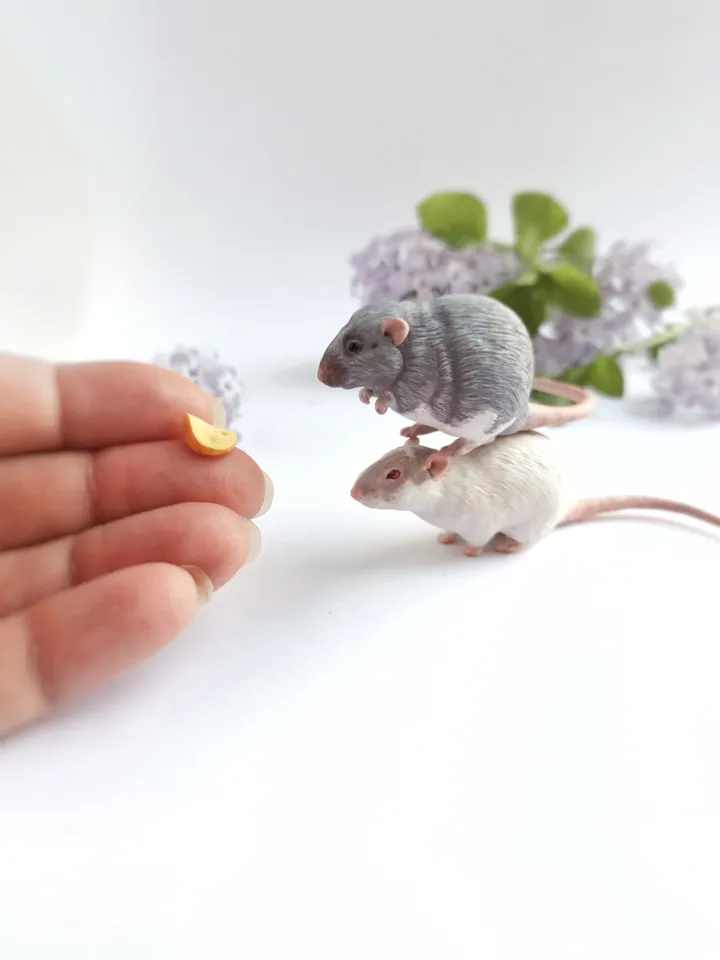 Small rat from photo