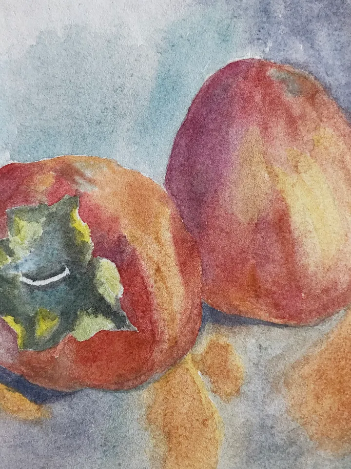 Persimmon original watercolour painting wall art fruit modern painting hand painted paper size 7x9 inches