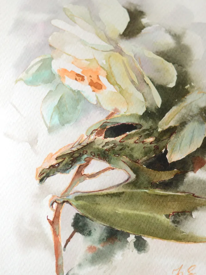 White rose dragon Watercolor painting Original fantasy art by Yulia Evsyukova