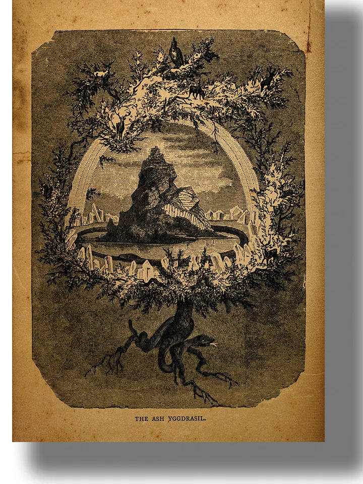 The Yggdrasil world tree.