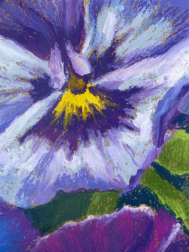 Drawing Viola yellow purple Garden variegated flowers Oil pastel on A4 kraft paper