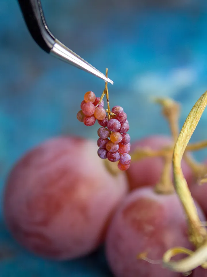 TUTORIAL Miniature large red grape with polymer clay