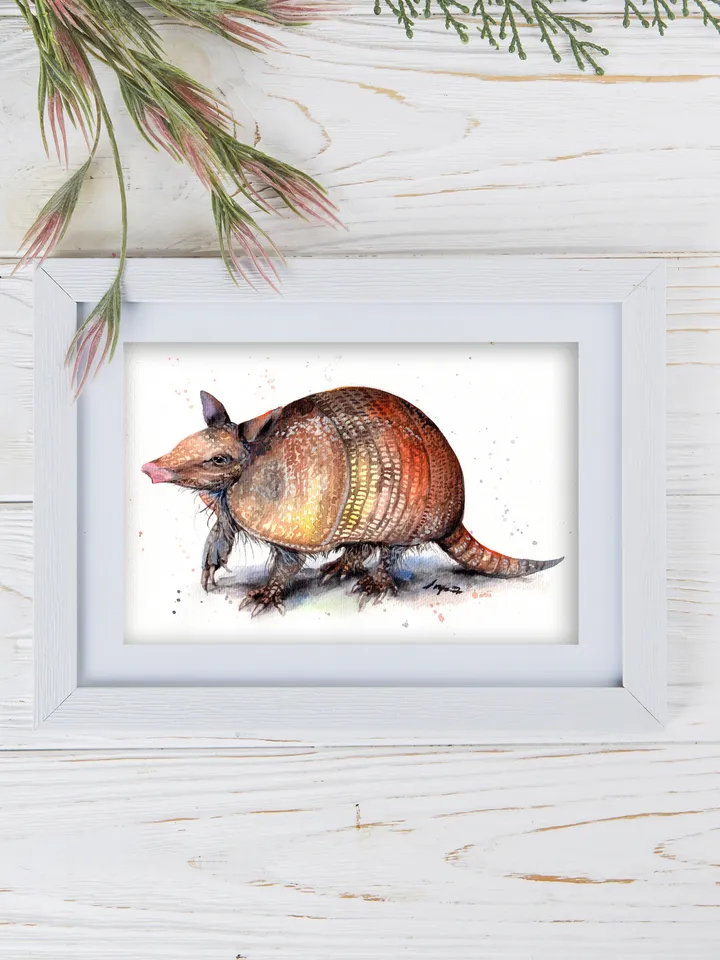 Armadillo original watercolor, animals painting, wall decor, 7x10 in art for animal lovers by Anne Gorywine