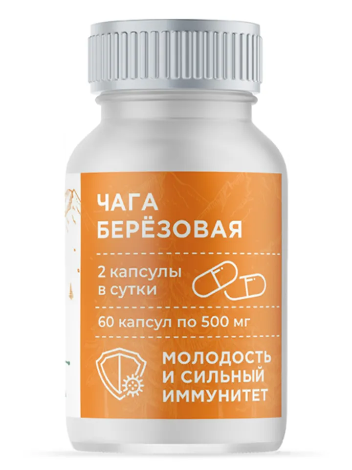 Birch Chaga, 60 capsules of 500 mg each